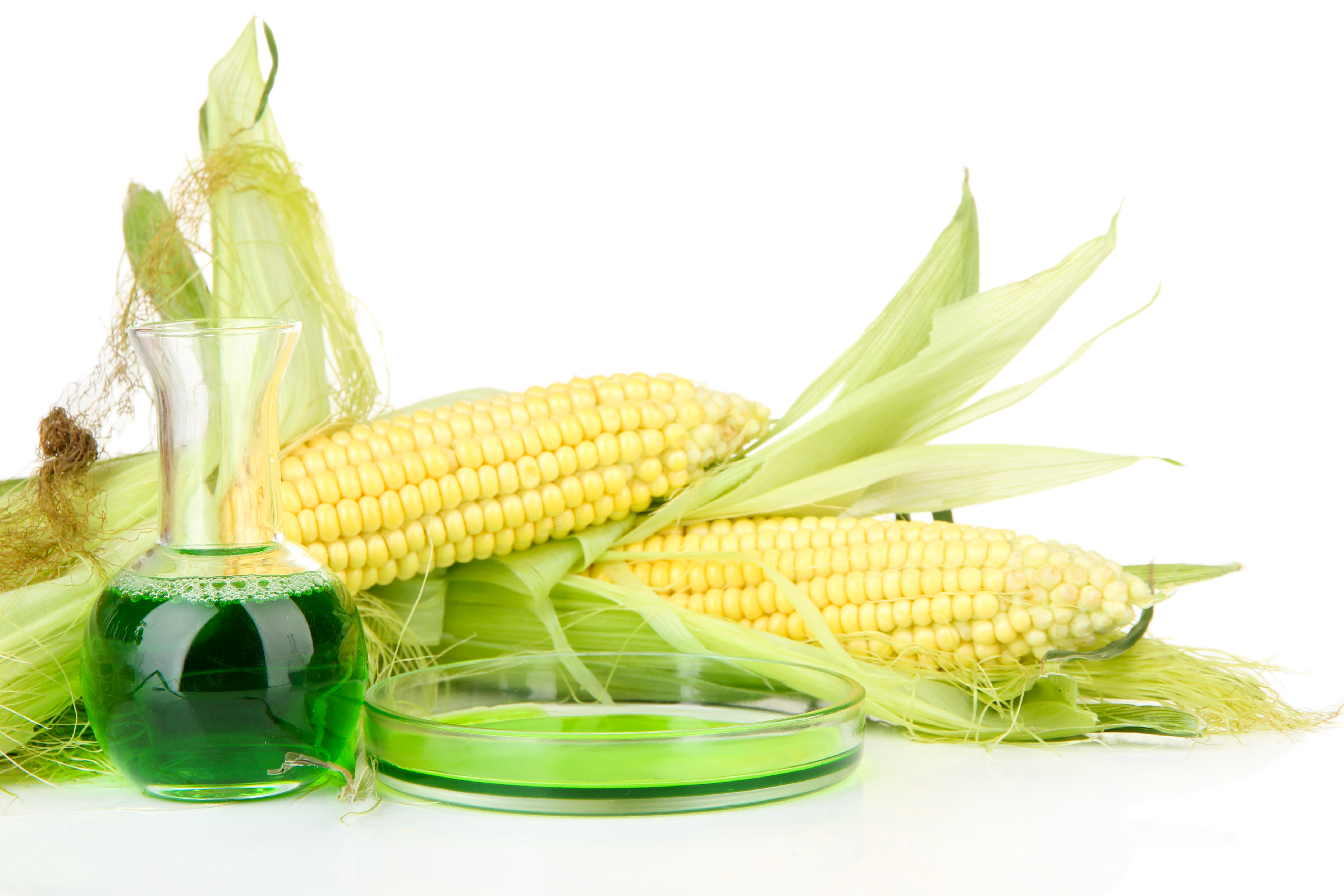 Alternative Fuels